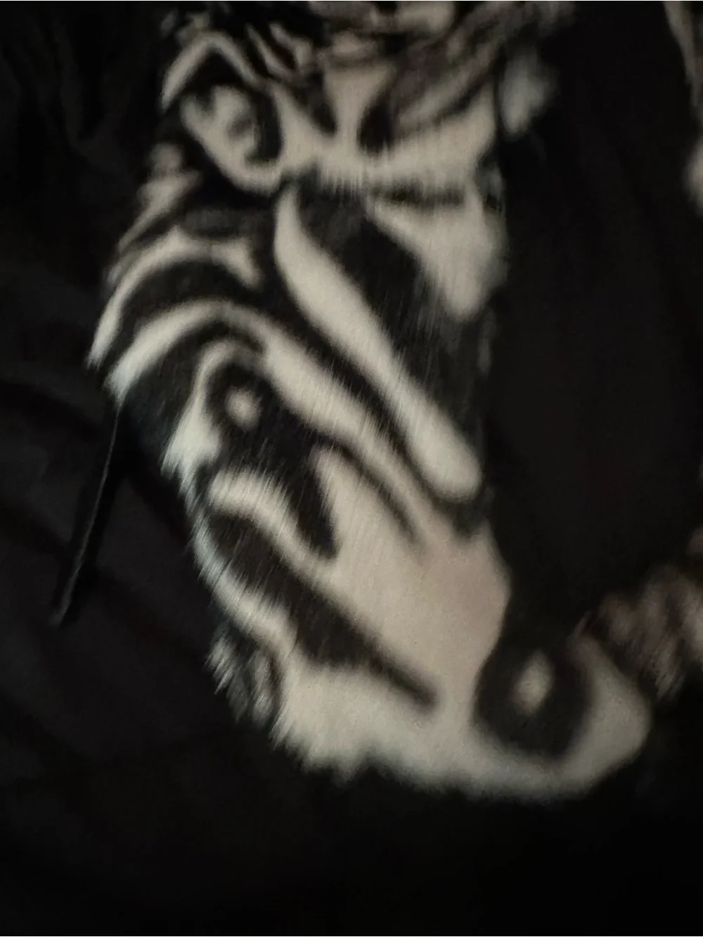 Jennifer Le Fur Zebra print Boots